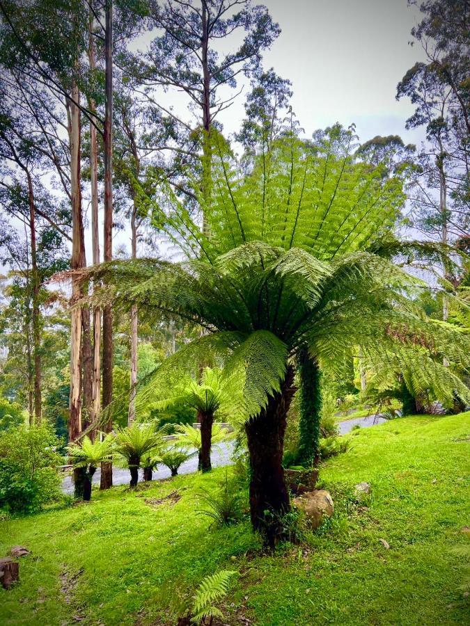 Melbourne Topview Villa In Dandenong Ranges Near Skyhigh Kalorama Екстериор снимка