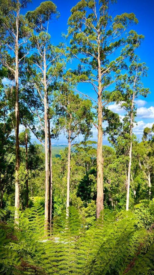 Melbourne Topview Villa In Dandenong Ranges Near Skyhigh Kalorama Екстериор снимка