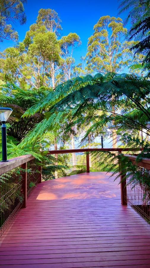 Melbourne Topview Villa In Dandenong Ranges Near Skyhigh Kalorama Екстериор снимка