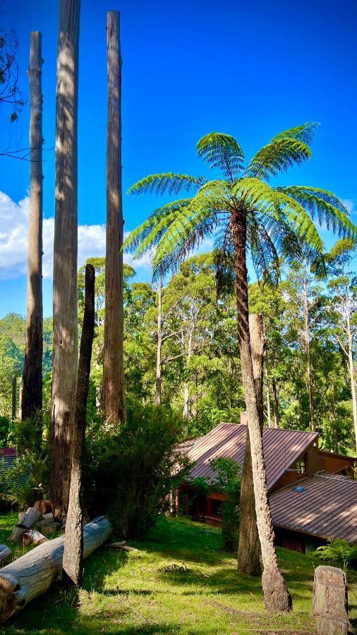 Melbourne Topview Villa In Dandenong Ranges Near Skyhigh Kalorama Екстериор снимка
