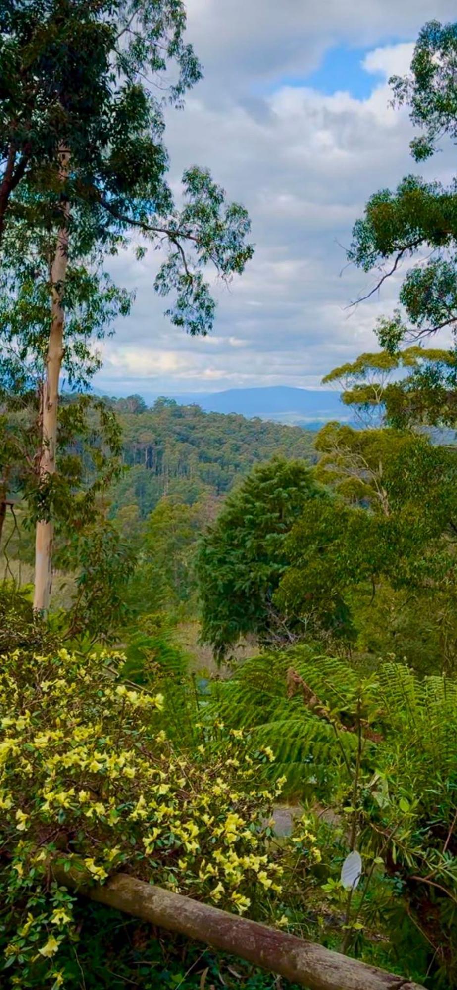 Melbourne Topview Villa In Dandenong Ranges Near Skyhigh Kalorama Екстериор снимка