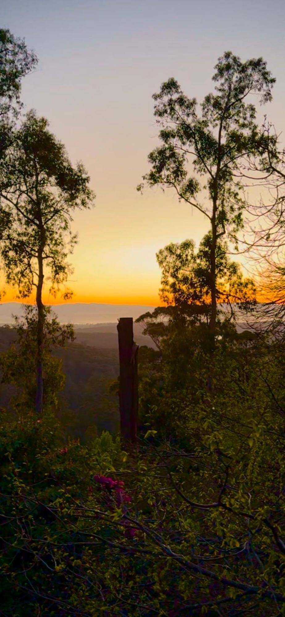 Melbourne Topview Villa In Dandenong Ranges Near Skyhigh Kalorama Екстериор снимка